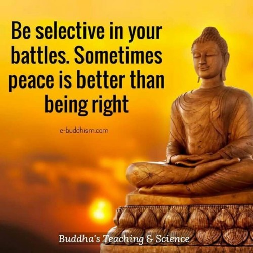 Be Selective In Your Battles Sometimes Peace is Better Quote
