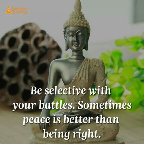 Be Selective With Your Battles Sometimes Peace is Better Than Being Right Quote