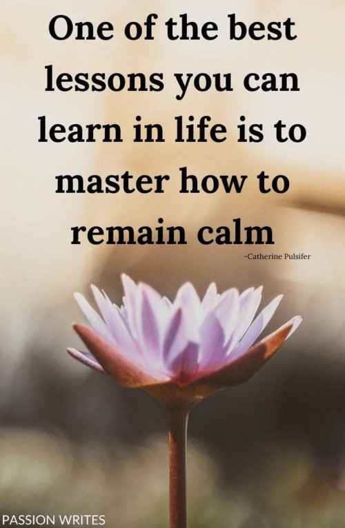 Best-Lessons-You-Can-Learn-In-Life-is-To-Master-How-To-Remain-Calm-Quote.jpeg