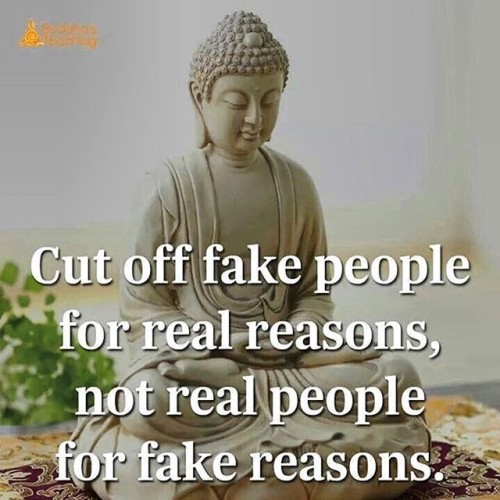 Cut Off Fake People For Real Reasons Quote