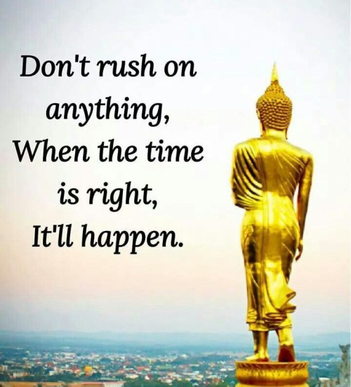 Dont Rush On Anything When The Time Is Right It'll Happen Quote