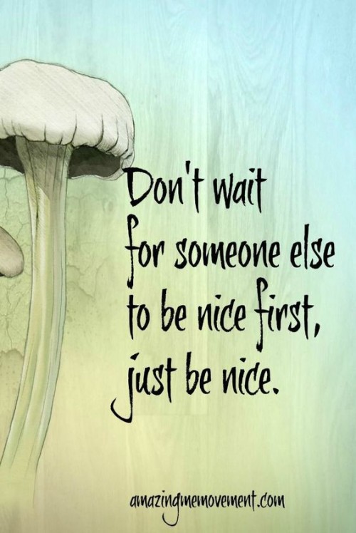 Dont Wait For Someone Else To Be Nice First Just Be Nice Quote