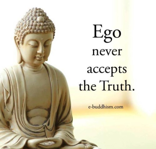 Ego Never Accepts The Truth Quote