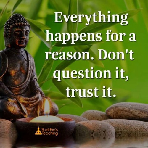 Everything Happens For A Reason Dont Question it trust it Quote