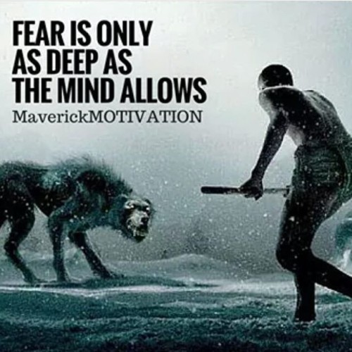 Fear Is Only As Deep As The Mind Allows Quote