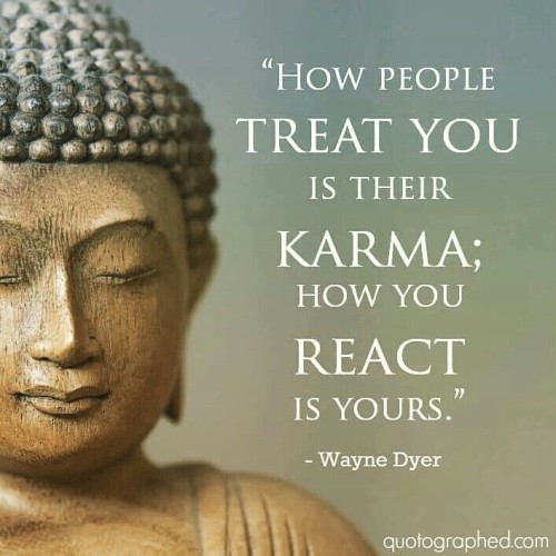 How People Treat You is Their Karma How You React is Yours Quote
