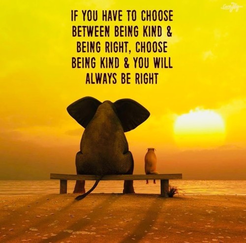 If You Have To Choose Between Being Kind & Being Right Choose Being Kind Quote