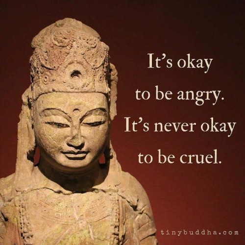 Its Okay To Be Angry Its Never Okay To Be Cruel Quote
