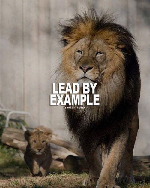 Lead By Example Quote