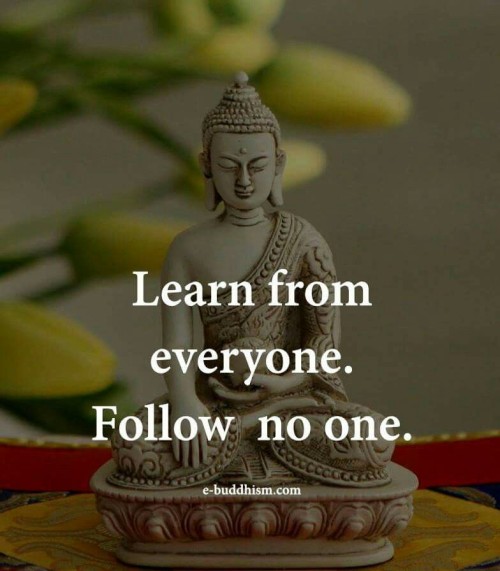 Learn From Everyone Follow No One Quote