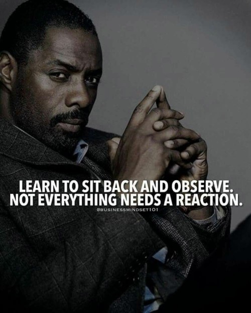 Learn-To-Sit-Back-aand-Observe-Quote.jpeg