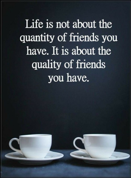 Life Is Not About The Quantity Of Friends You Have Quote