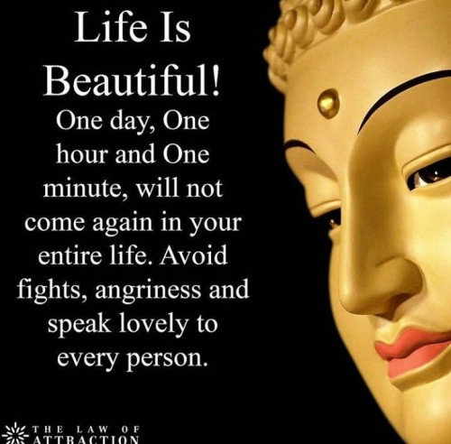 Life-is-Beautiful-One-Day-One-Hour-and-One-Minute..jpeg