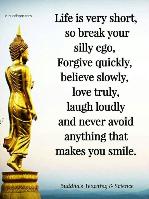 Life is Very Short So Break Your Silly Ego Quote