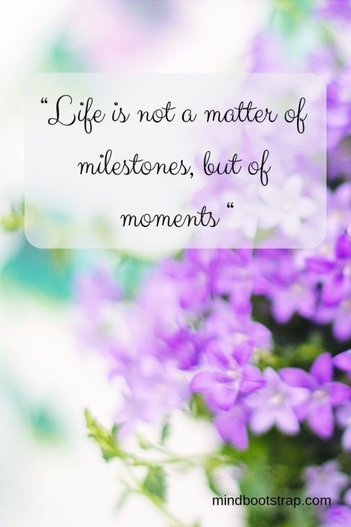 Like Is Not A Matter of Milestones But of Moments Quote