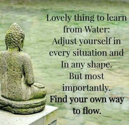 Lovely-Thing-To-Learn-From-Water-Adjust-Yourself-In-Any-Shape-Quote.jpeg