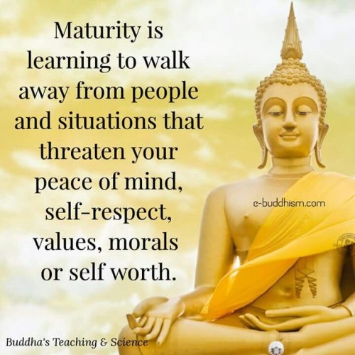 Maturity-Is-Learning-To-Walk-Away-From-People-Quote.jpeg