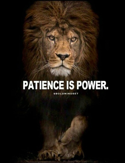 Patience-Is-Power-Quote.jpeg