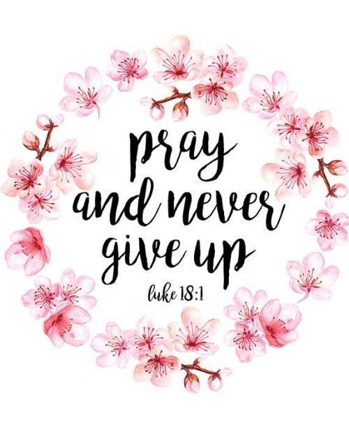 Pray and Never Give Up Quote