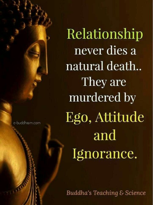 Relationship Never Dies A Natural Death Quote