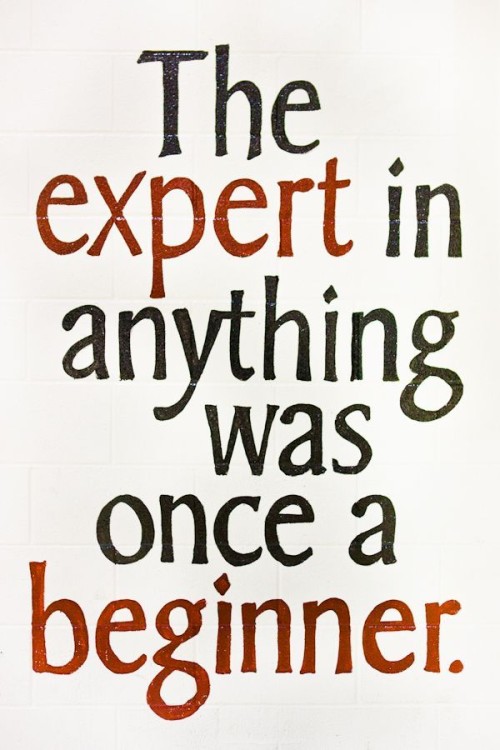 The-Expert-in-Anything-Was-Once-a-Beginner-Quote.jpeg