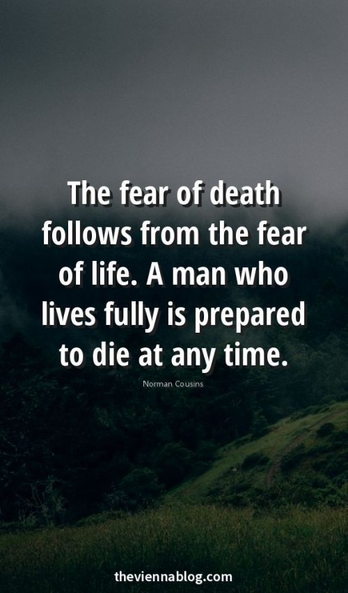 The Fear Of Death Follows From The Fear Of Life Quote