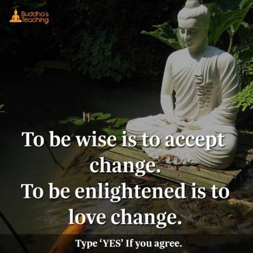 To Be Wise Is To Accept Change Quote