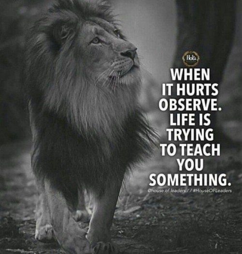 When It Hurts Observe Life is Trying To Teach You Something Quote
