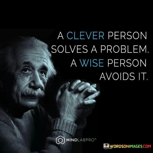 A clever person solves a problems a wise person avoids it quote