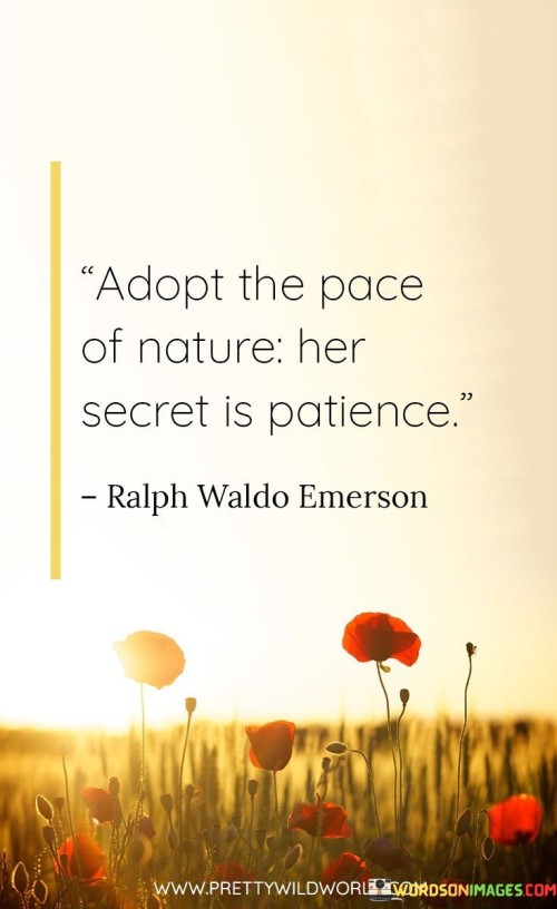 Adopt The Pace Of Nature Her Secret Is Patience Quote