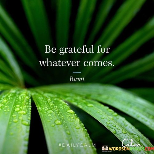 Be Grateful For Whatever Comes Quote