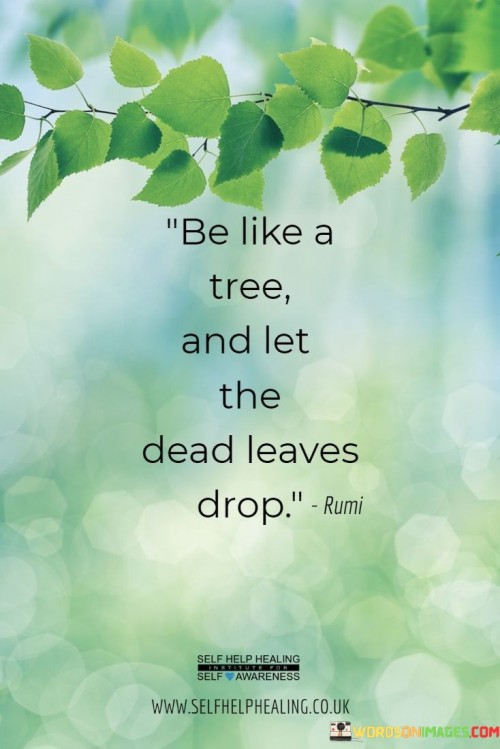 Be-LIke-A-Tree-and-let-the-Dead-Life-Quote.jpeg