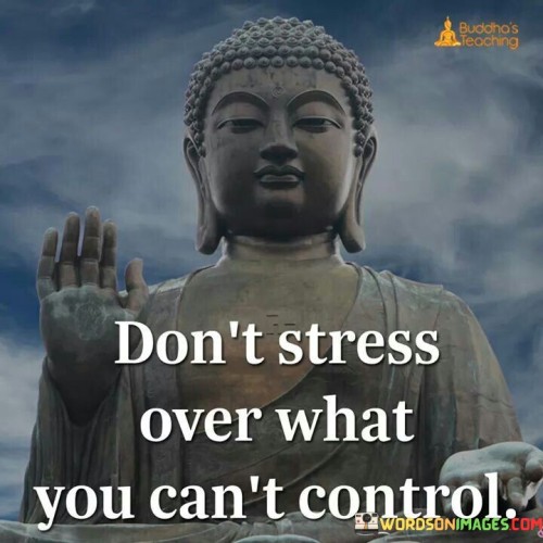 Dont Stress Over What You Cant Control Quote