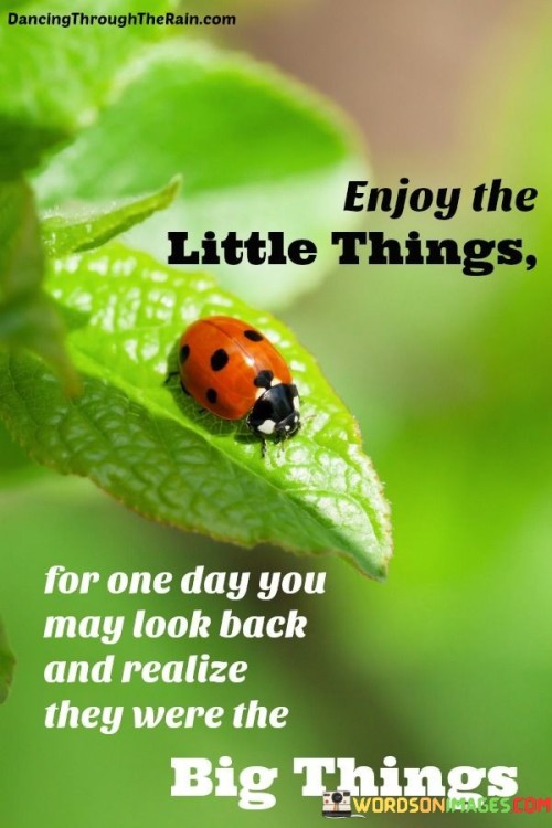 Enjoy The Little Things Quote