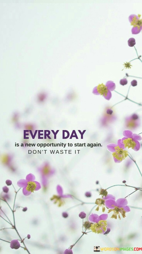 Every Day Is A New Opportunity To Start Again Quote