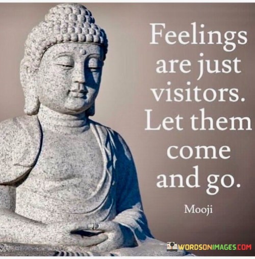 Feelings are just visitors let them came and go quotes