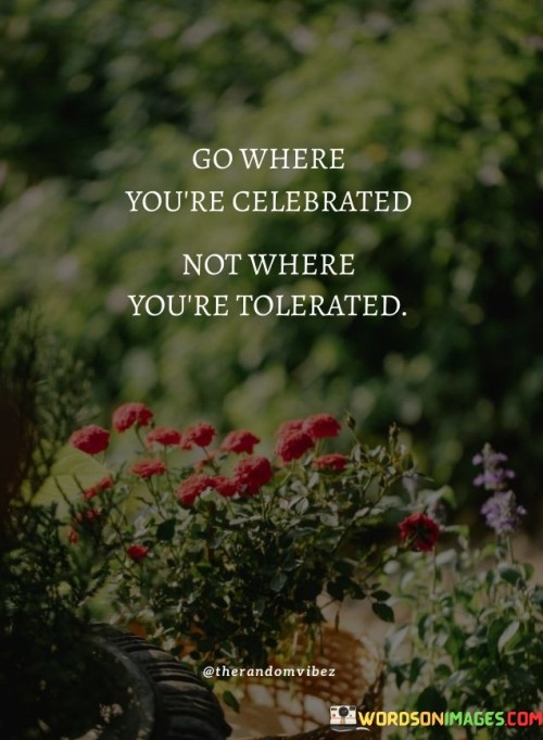 Go Where Youre Celebrated Not Where Youre Tolerated Quote