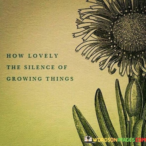 How Lovely The Silence or Growth Things Quote