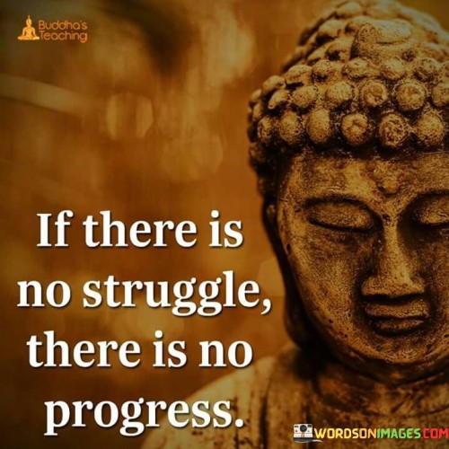 If There Is No Struggle There Is No Progress Quote