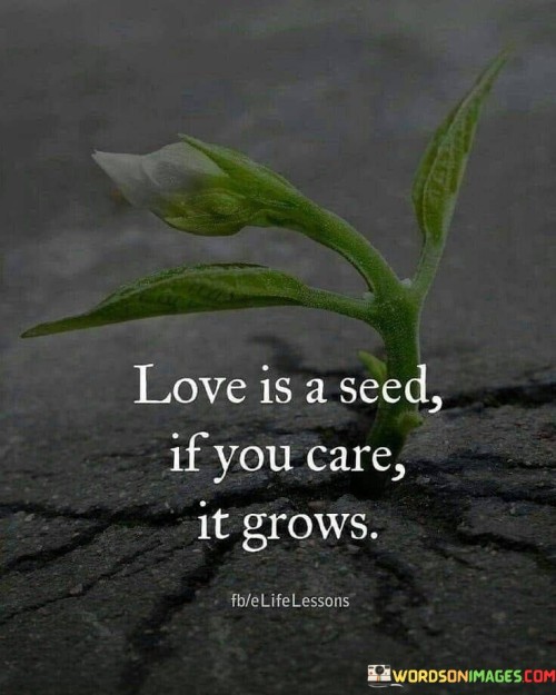 Love Is A Seed If You Care It Grows Quote (2)