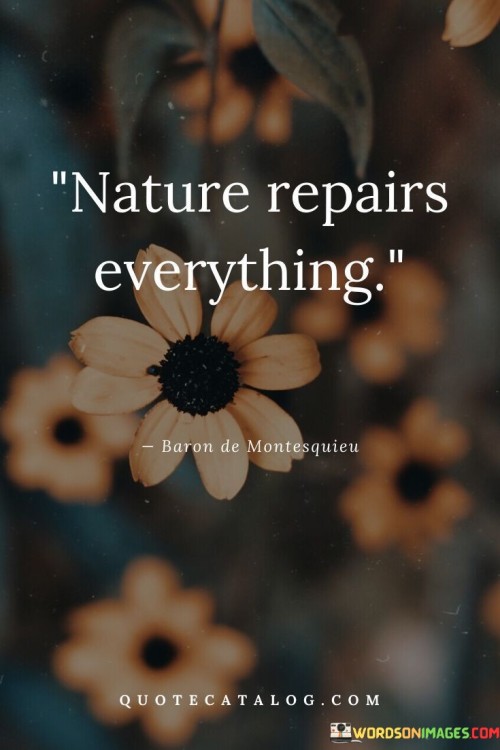 Nature Repairs Everything Quote