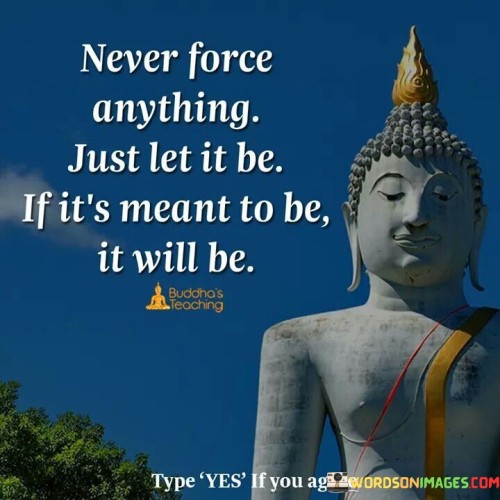 Never Force Anything Just Let It Be Quote