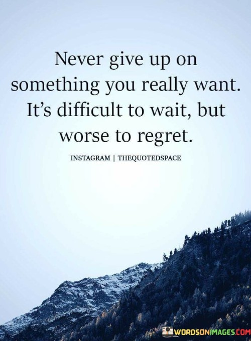 Never Give Up On Something You Really Want Quote