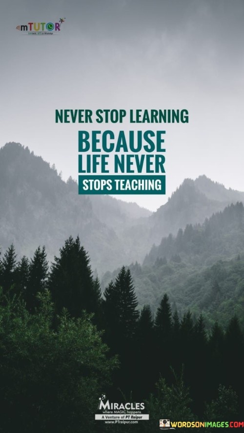 Never-Stop-Learning-Because-Life-Never-Stops-Teaching-Quote.jpeg