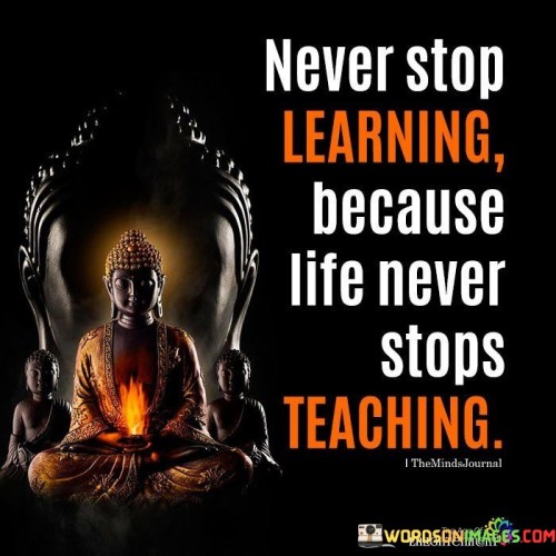 Never-Stop-Learning-Because.jpeg