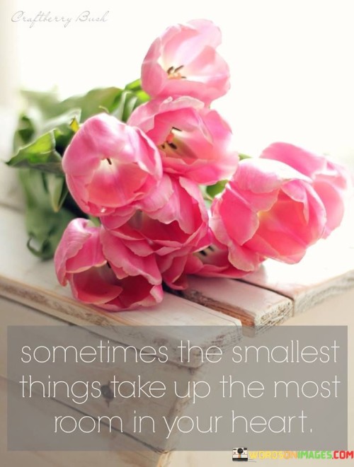 Sometimes The Smallest Things Take Up The Most Room In Your Heart Quote