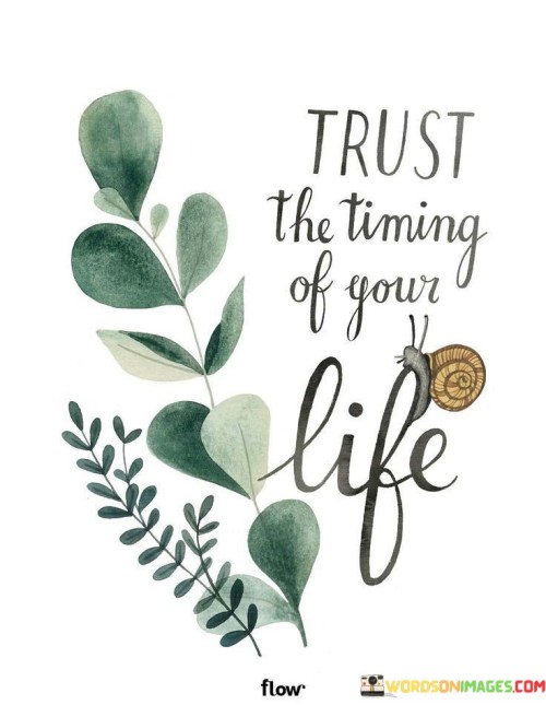 Trust The Timing Of Your Life Quote