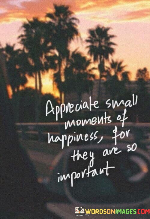 Appreciate-Small-Moments-Of-Happiness-For-They-Are-So-Important-Quotes.jpeg