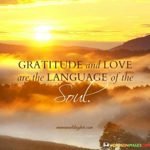 Gratitude-And-Love-Are-The-Language-Of-The-Soul-Quotes.jpeg