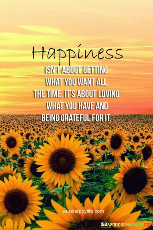 Happiness Isn't About Getting What You Want All The Time Quotes